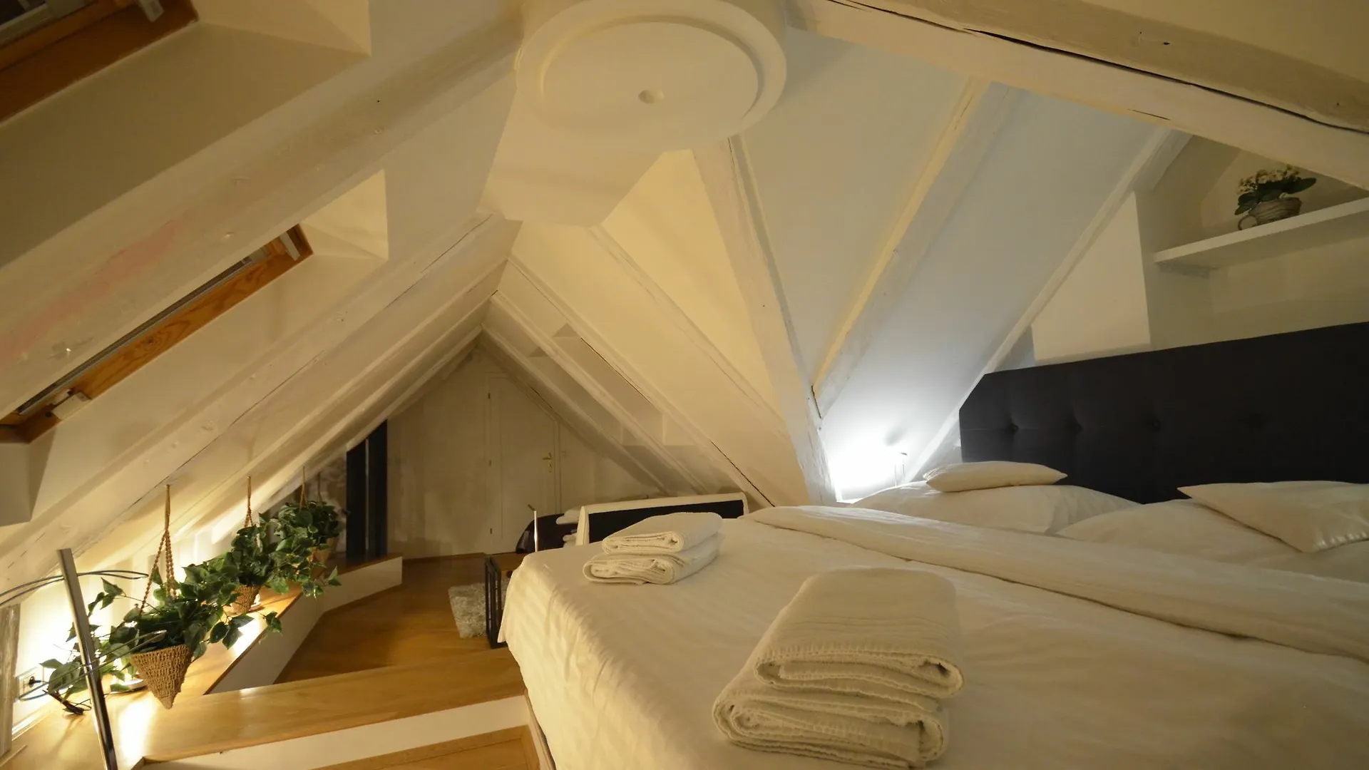 Attic Hroznova - Charles Bridge Apartment Prague
